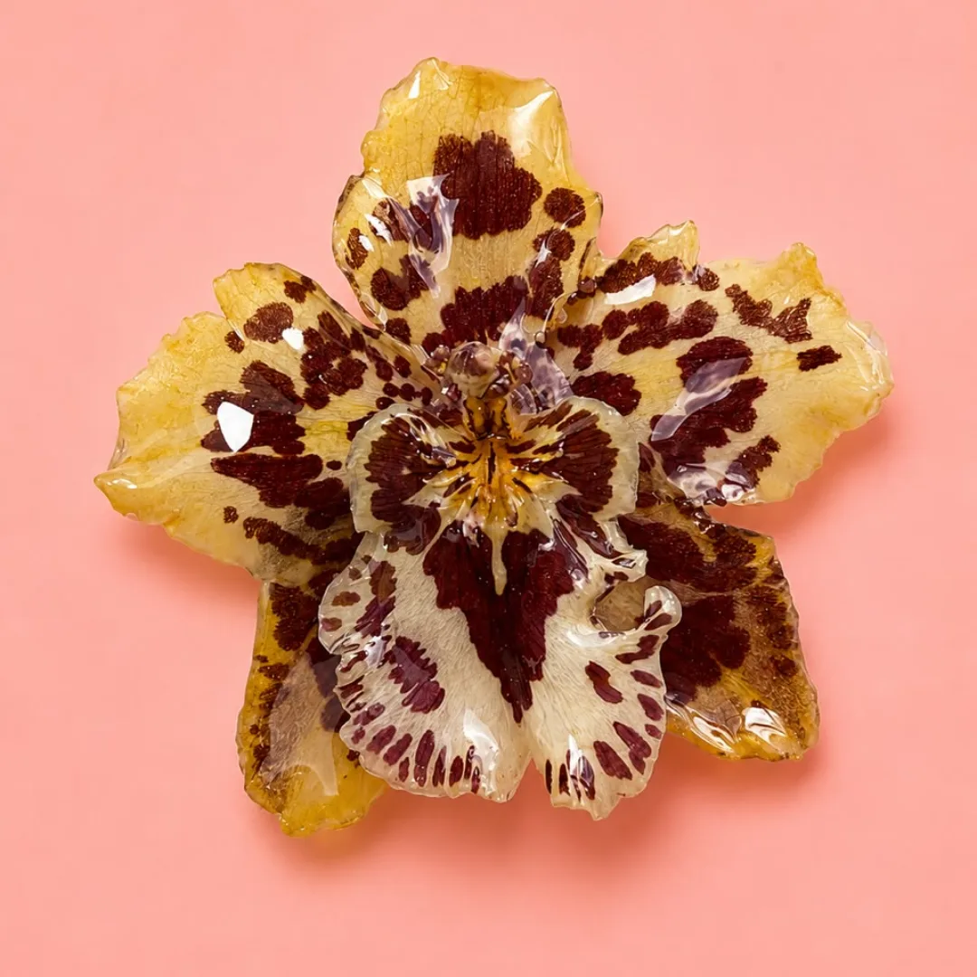 Tigrillo